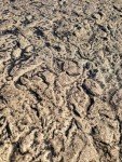 Rugged Stone Vertical Concrete Texture Stamp