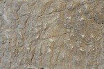 Elephant Skin Texture Roller Sleeve for Concrete