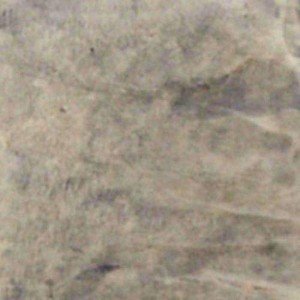 Walttools Tru Tint Water-Based Concrete Stain - 5 Gallon