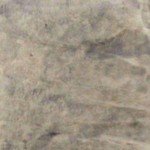 Walttools Tru Tint Water-Based Concrete Stain - 5 Gallon