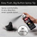 Krylon Black Fusion Textured Spray Paint, 12 oz