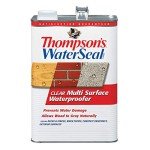 Thompson's WaterSeal Clear Waterproof Stain, 1 Gallon