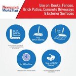 Thompson's WaterSeal Clear Waterproof Stain, 1 Gallon