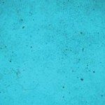Fast Drying Caribbean Concrete Stain - 32oz