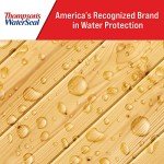 Thompson's WaterSeal Clear Waterproof Stain, 1 Gallon