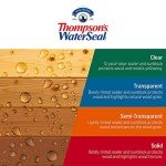 Thompson's WaterSeal Clear Waterproof Stain, 1 Gallon