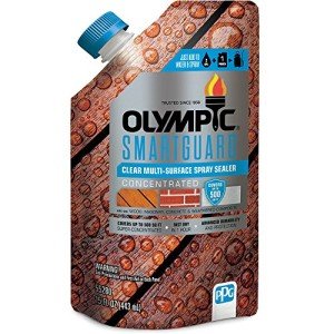 Clear Multi-Surface Sealant - 15oz