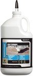 Light Gray Concrete Crack Filler and Sealer