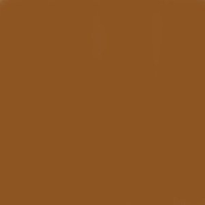 Burnt Sienna Ameripolish Surelock Concrete Dye 1 Gallon