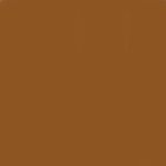 Burnt Sienna Ameripolish Surelock Concrete Dye 1 Gallon