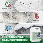 1 Gallon Penetrating Concrete Sealer for Outdoors