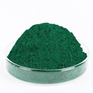 Green Iron Oxide Concrete Pigment Powder, 4 oz