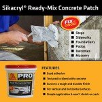 DAP Liquid Cement Crack Filler & Concrete Patch 1 Qt
