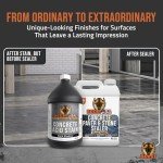 Dark Shadow Concrete Stain – 1 Gallon & 8 oz Test