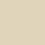 Romabio Italian Mineral Paint for Brick & Stone