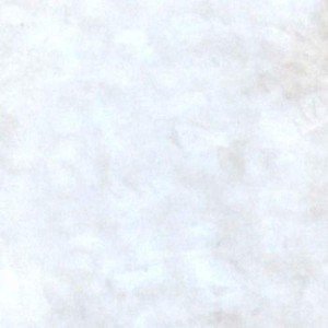 Walttools Tru Tint Water-Based Concrete Stain - Whitewash