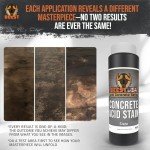 BEEST Concrete Acid Stain - Slate 8oz Dye
