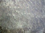 Walttools 2x2 Foot Seamless Concrete Stamp Skin