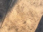 Walttools 2x2 Foot Seamless Concrete Stamp Skin