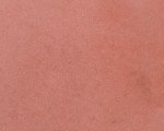 Walttools Color Pigment Powder for Concrete (10 LB)