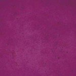 Violet Fast Dry Concrete Stain - 32oz