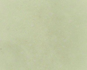 Sage Integral Color Pigment Powder for Concrete