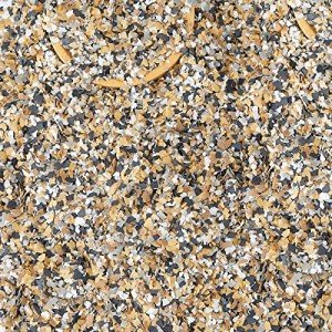 Decorative Color Chips for Concrete Coatings - 6.17 lb