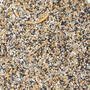 Decorative Color Chips for Concrete Floors 700G