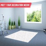 Decorative Epoxy Floor Flakes Paint Kit - 5-8 mm