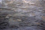 Walttools Seamless Slate Concrete Stamp Set - 4 Piece