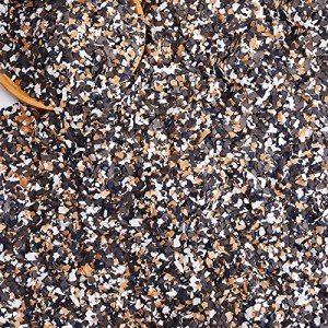 Color Chips Decorative Paint Flakes for Concrete Floors
