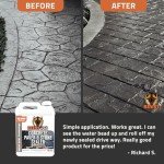 High Gloss Stone and Concrete Sealer - 1 Gal