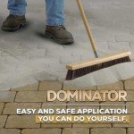 Titanium Gray Polymeric Sand for Pavers - 40 lbs
