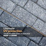 Dominator SG+ Clear High Gloss Concrete Sealer