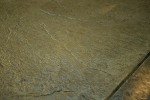 Satin Finish Stamped Concrete Sealer, 1 Gallon
