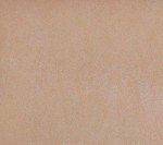 Ten Second Color™ Concrete Dye - Buff Shade