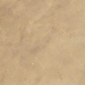 Water-Based Concrete Stain Tru Tint (Mocha) 1 Quart