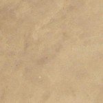Water-Based Concrete Stain Tru Tint (Mocha) 1 Quart
