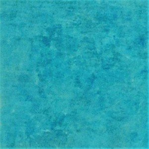 Walttools Tru Tint Water-Based Concrete Stain - Cancun 1 Quart