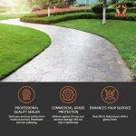 High Gloss Stone and Concrete Sealer - 1 Gal