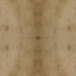 Timberwolf Concrete Acid Stain 4-Pack 1-Gallon