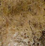 Walttools 2x2 Seamless Concrete Stamp - Outback Stone
