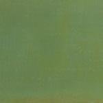 Jade Vivid Acid Stain for Concrete - 4 oz