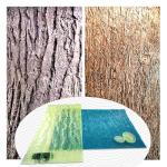 Two Tree Bark Polyurethane Concrete Stamps Set