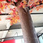 Two Tree Bark Polyurethane Concrete Stamps Set