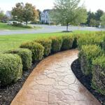 Random Stone Concrete Stamps - Set of 5