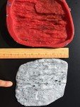 High-End Stone Texture Stamp Kit for Concrete