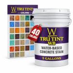 Walttools Tru Tint Water-Based Concrete Stain - 5 Gallon