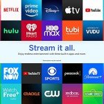 VIZIO 40" D-Series Full HD Smart TV