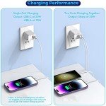 20W Dual Port USB-C Charger Block 2-Pack
